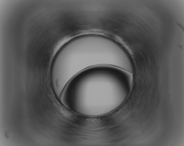 X0000091961320200709061052