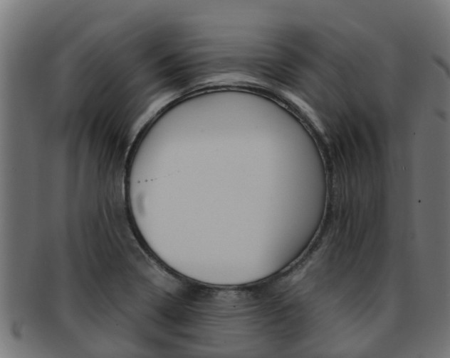 X0000091961322200709061052