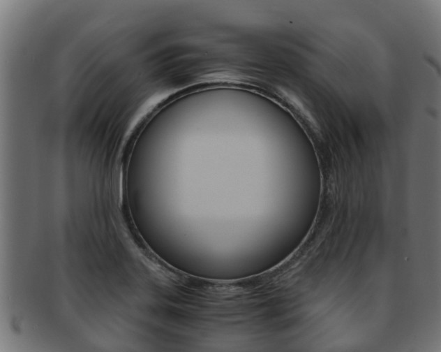 X0000091961323200709061052