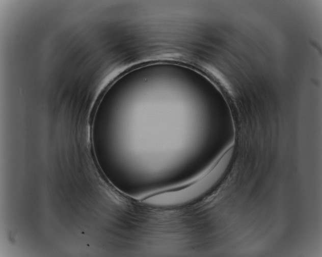 X0000091961324200709061052