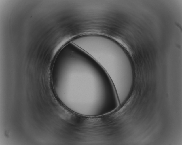 X0000091961325200709061052