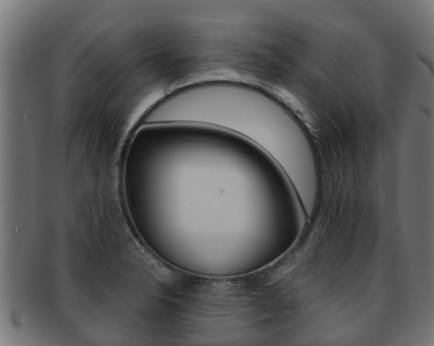 X0000091961326200709061052