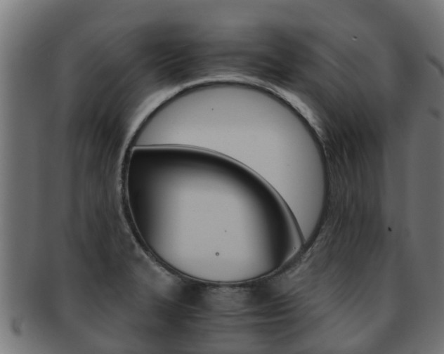 X0000091961327200709061052