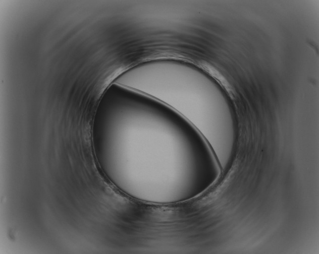 X0000091961329200709061052