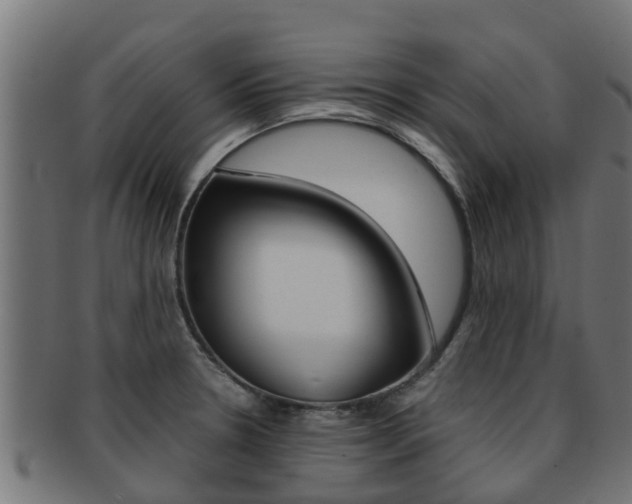 X0000091961330200709061052