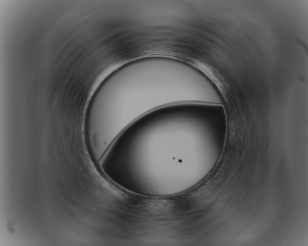 X0000091961331200709061052