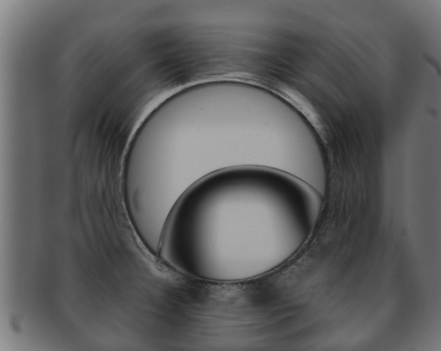 X0000091961332200709061052