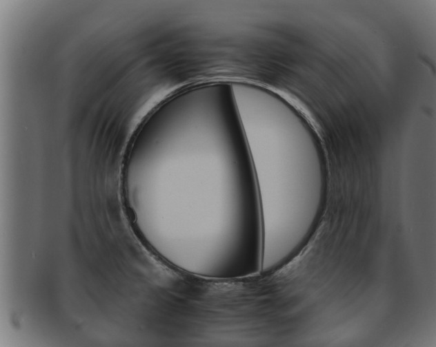 X0000091961333200709061052