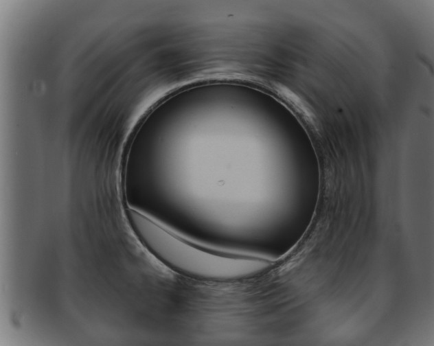 X0000091961334200709061052