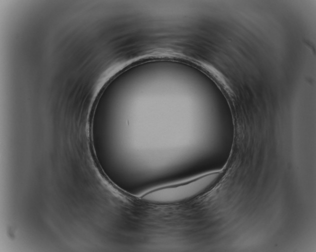 X0000091961335200709061052