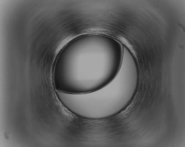X0000091961336200709061052