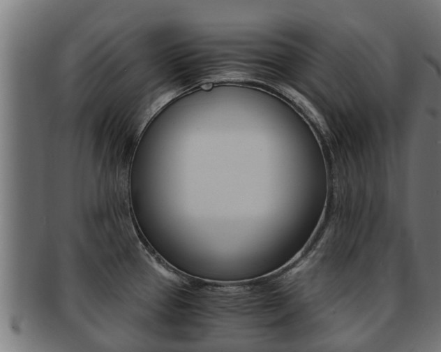 X0000091961337200709061052