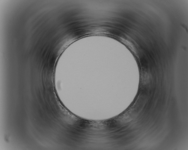 X0000091961338200709061052