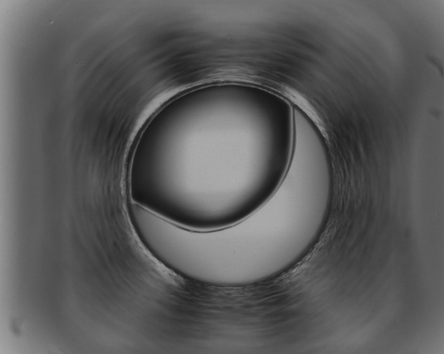 X0000091961339200709061052