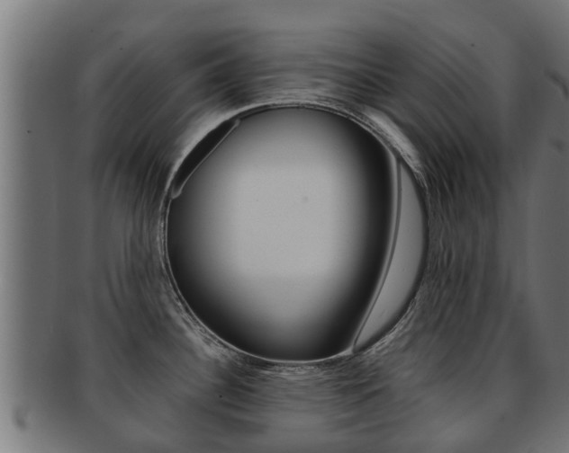 X0000091961340200709061052