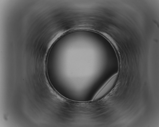 X0000091961341200709061052