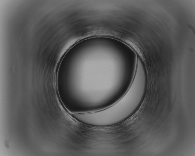 X0000091961342200709061052