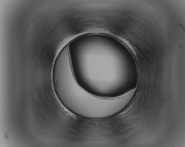 X0000091961343200709061052