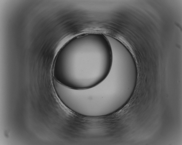 X0000091961344200709061052