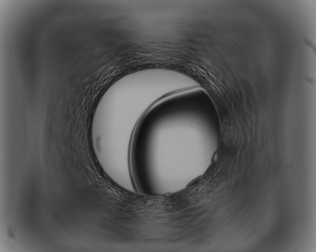 X0000091961345200709061051