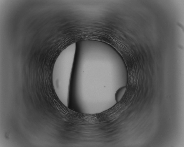 X0000091961346200709061051