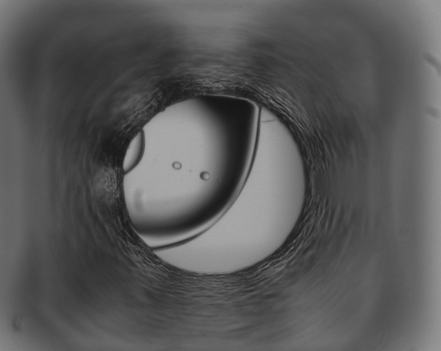 X0000091961347200709061051