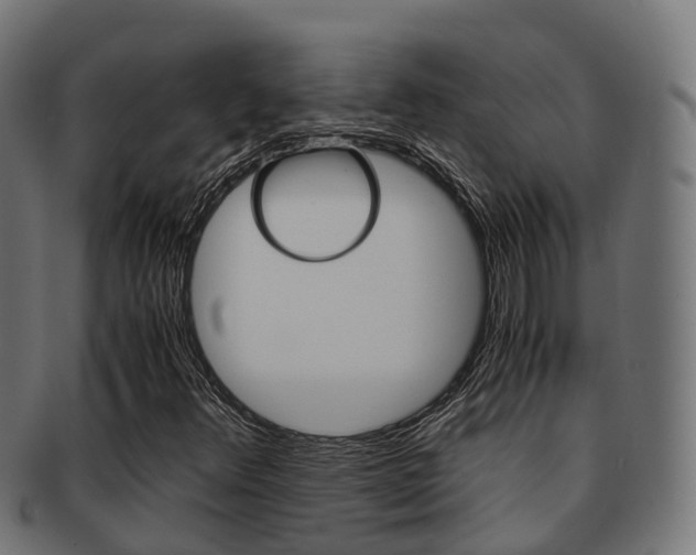 X0000091961348200709061051