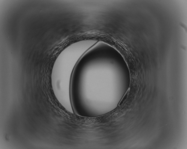 X0000091961349200709061051