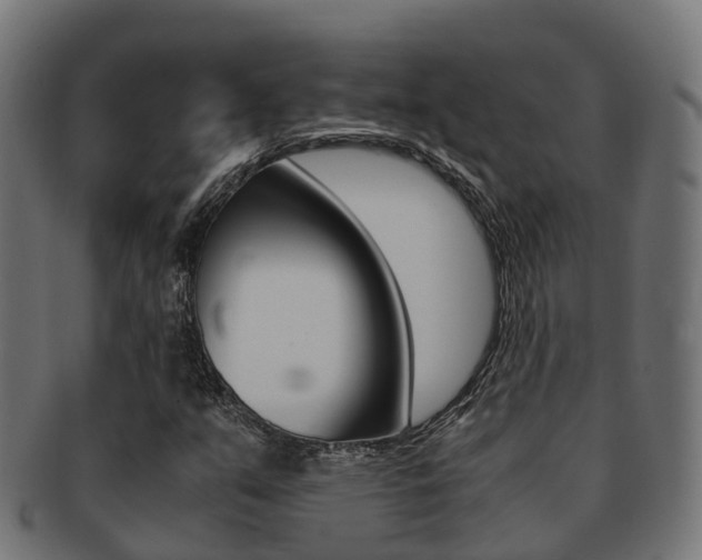 X0000091961351200709061051