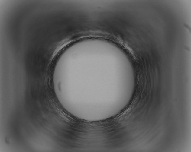X0000091961352200709061051