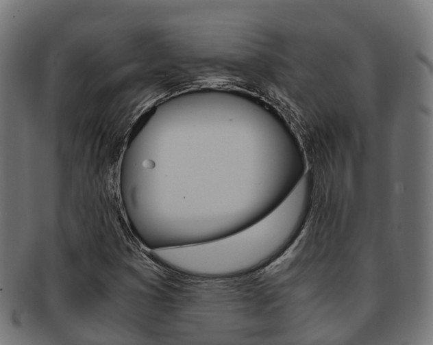 X0000091961353200709061051