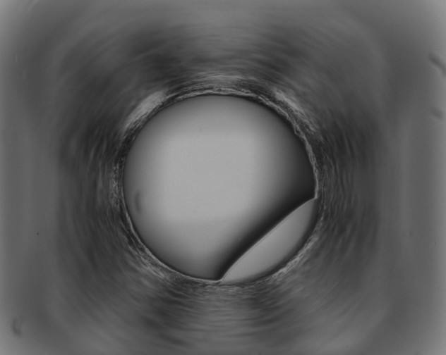 X0000091961354200709061051