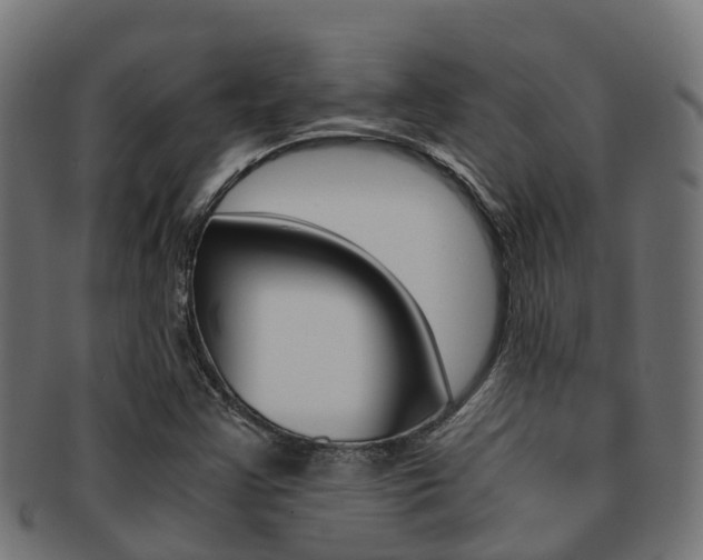 X0000091961355200709061051
