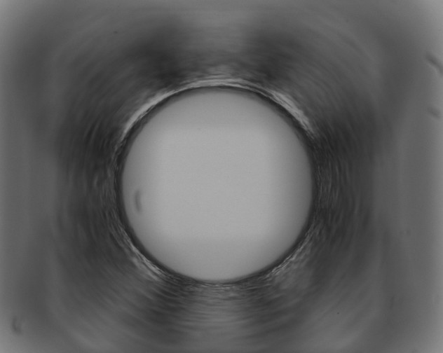 X0000091961356200709061051