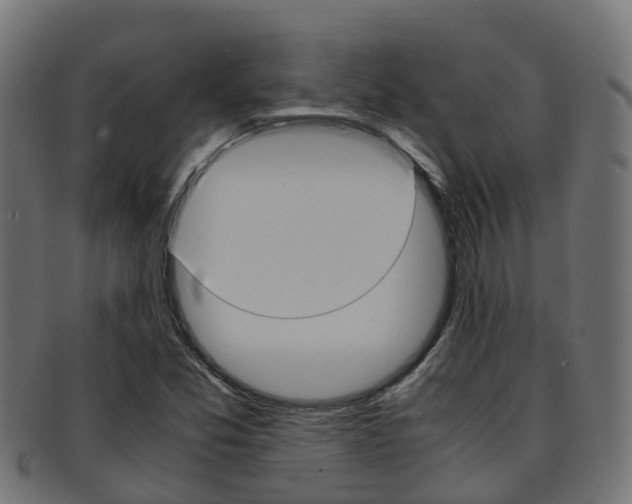 X0000091961357200709061051