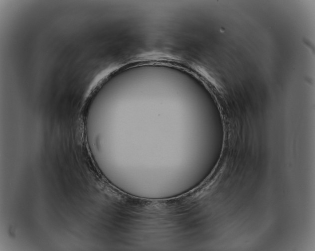 X0000091961358200709061051