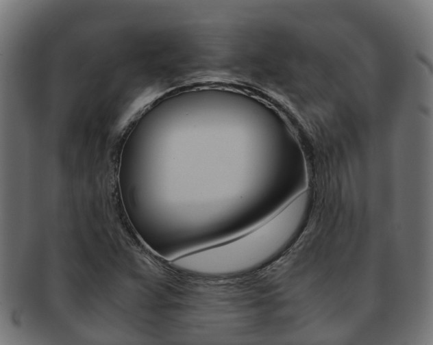 X0000091961359200709061051