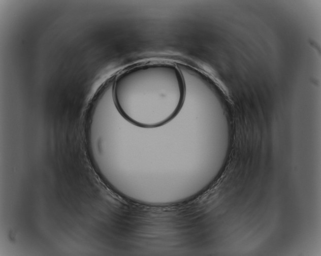 X0000091961360200709061051