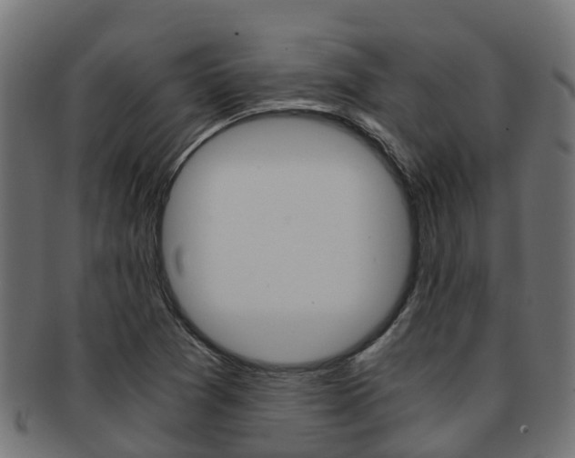 X0000091961361200709061051
