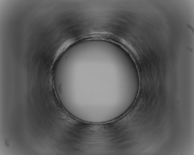 X0000091961362200709061051