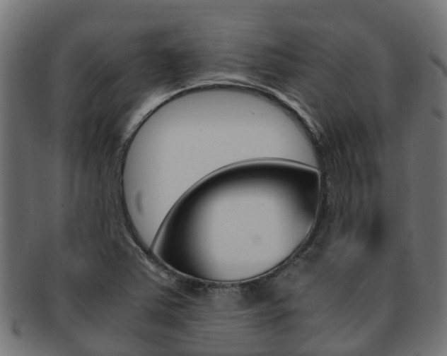X0000091961363200709061051