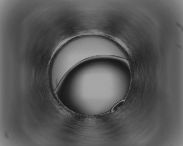 X0000091961364200709061051
