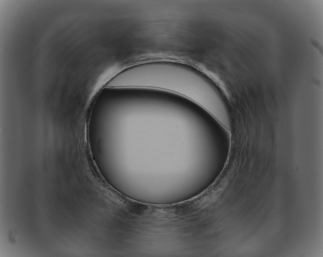 X0000091961365200709061051