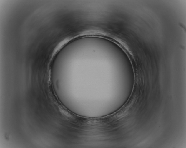 X0000091961366200709061051
