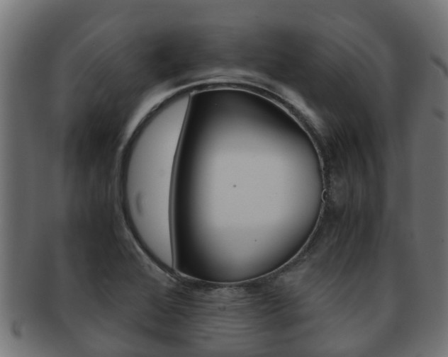 X0000091961368200709061051