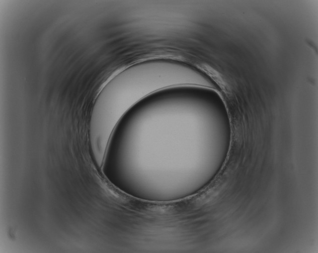 X0000091961369200709061051