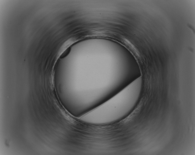 X0000091961370200709061051