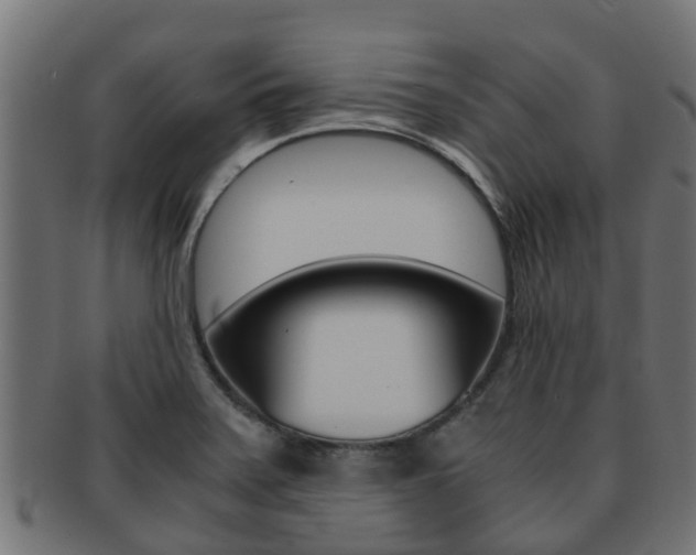 X0000091961371200709061051