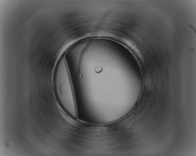 X0000091961372200709061051