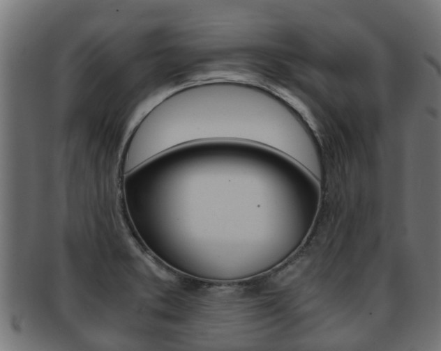 X0000091961373200709061051